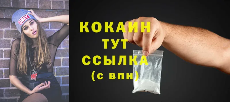 КОКАИН Fish Scale  Бологое 